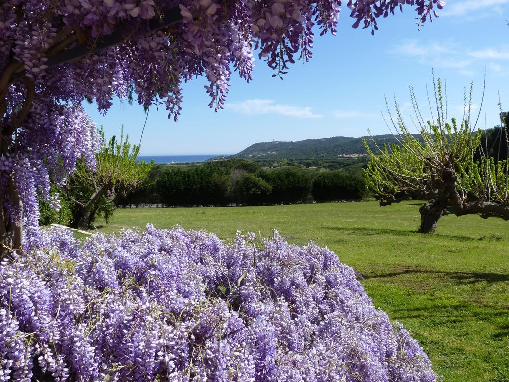 Residence Les Sellettes Saint Tropez Bagian luar foto